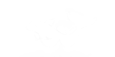 WALE luxury web design agency logo